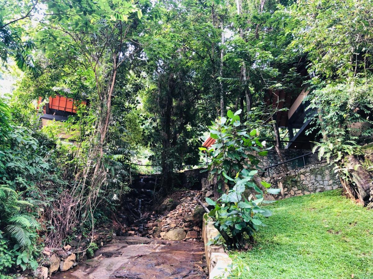 Forest Shade Eco Resort Deraniyagala Buitenkant foto